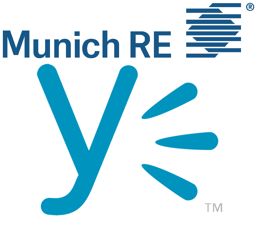 https://www.yammer.com/munichre.com/#/threads/inGroup?type=in_group&feedId=13595760 Icon